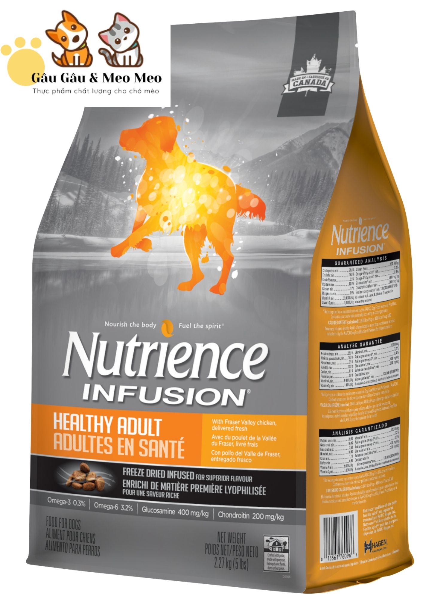 Nutrience Thức ăn chó Bao 500g