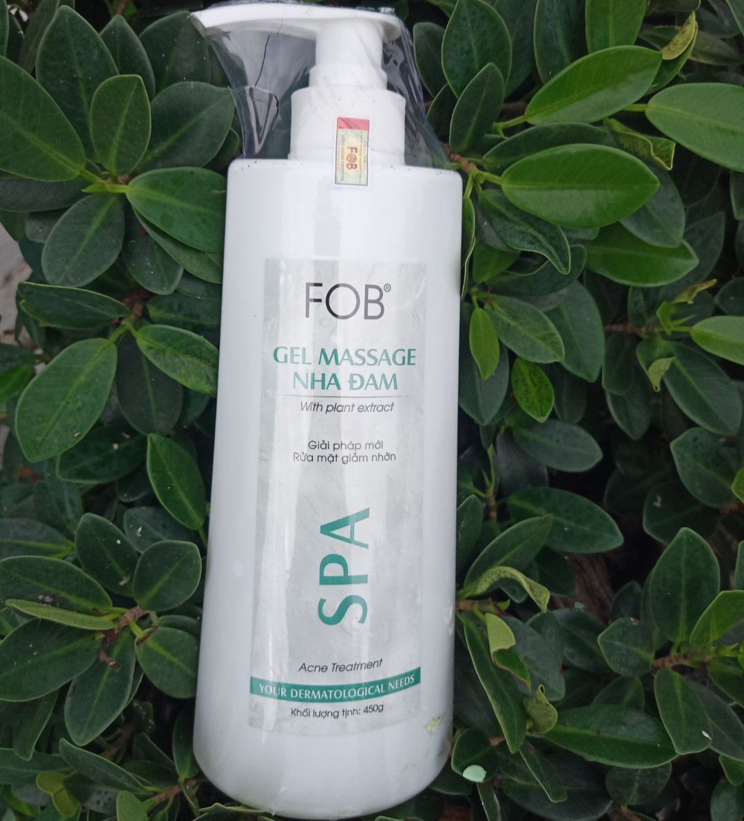 Gel nha đam FOB 450g