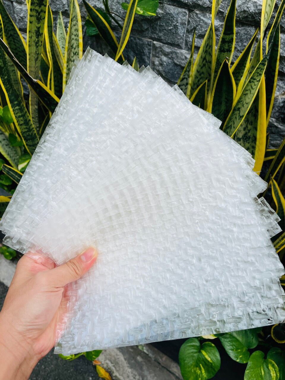 500G BÁNH TRÁNG SIÊU MỎNG ( KHÔNG CẦN NHÚNG NƯỚC)