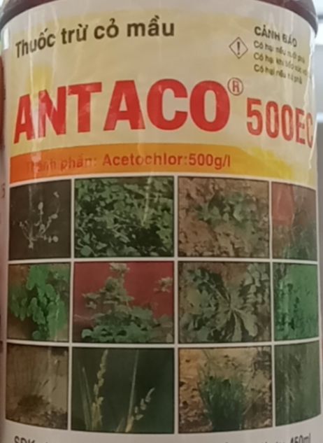 Thuốc Trừ Cỏ Mầu - Antaco 500EC - Chai 450ml