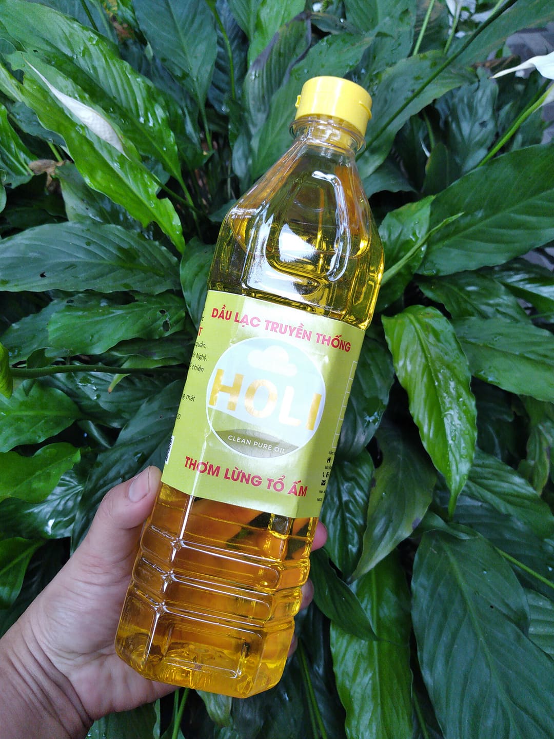 Dầu lạc nguyên chất ép lạnh Holi 1L