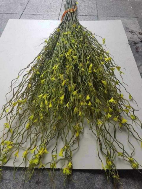 Cành salic nhựa 1met