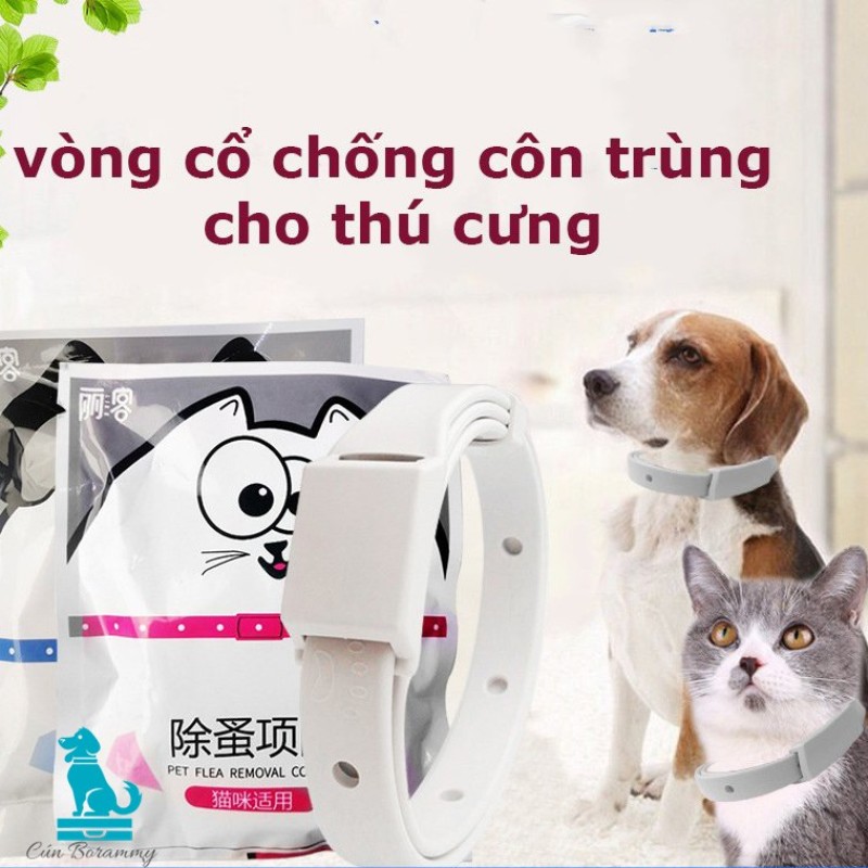 Vòng cổ chống ve rận bọ chét chó mèo - Vòng cổ chống bọ chấy trên da lông cún, mèo không thấm nước chiết xuất từ tinh dầu thiện nhiên
