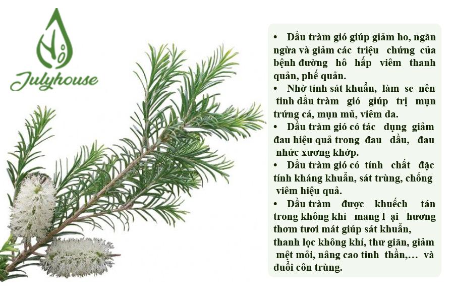 Tinh dầu Tràm gió Julyhouse 50ml