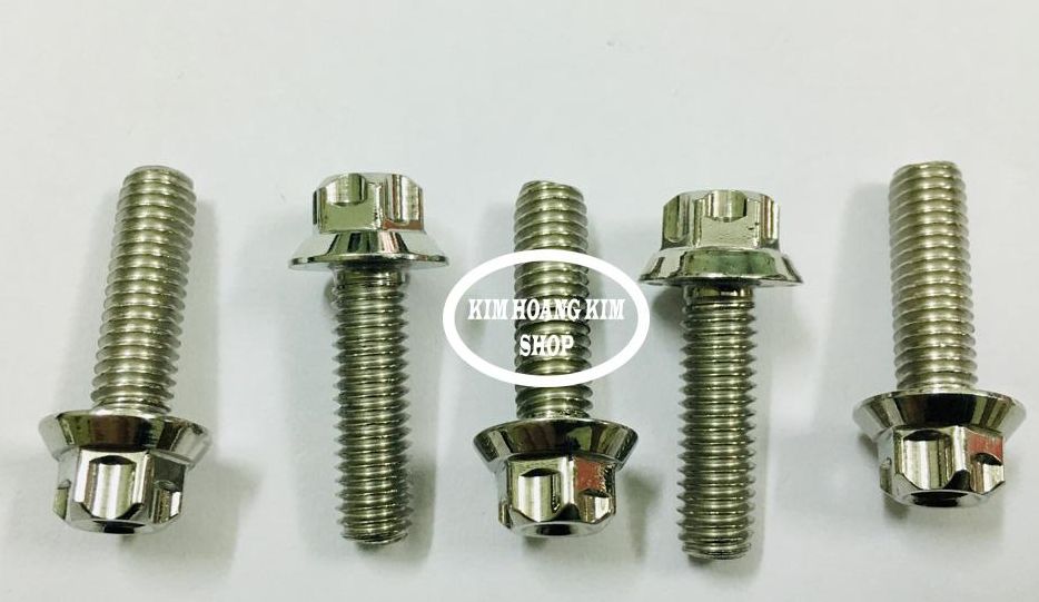 5 con Ốc Inox Salaya Trụ S3 6li20 gắn dàn áo các loại xe máy