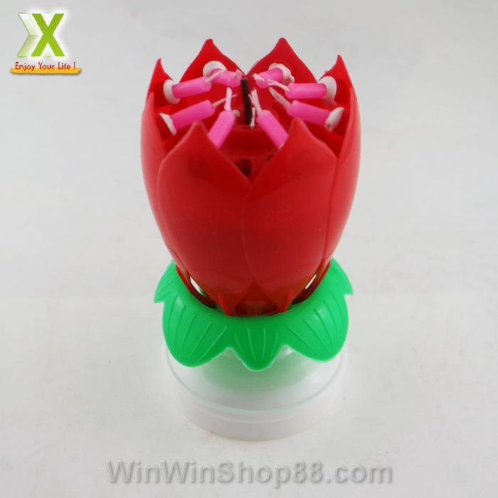 [HCM]Nến sinh nhật nở hoa và phát nhạc V.2
