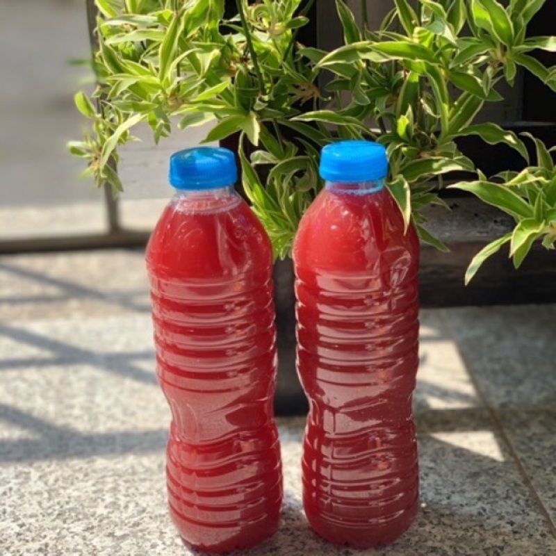 PSB vi sinh quang hợp - dung dịch làm trong nước hồ cá - 1 chai