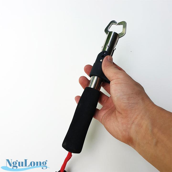 Bộ combo kìm kẹp cá hàng khỏe đẹp ( Ngu Long )