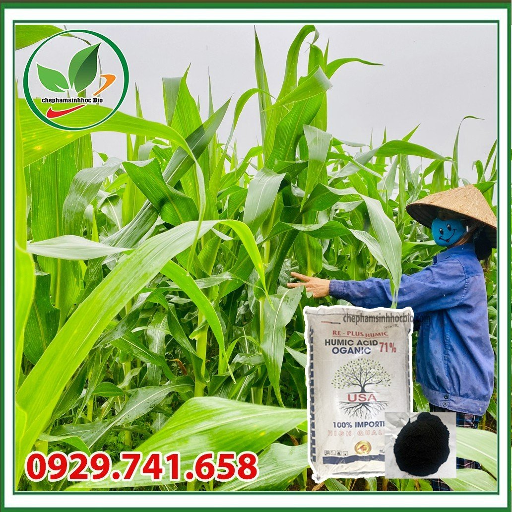 Phân bón HUMIC dạng bột. Bao 20kg