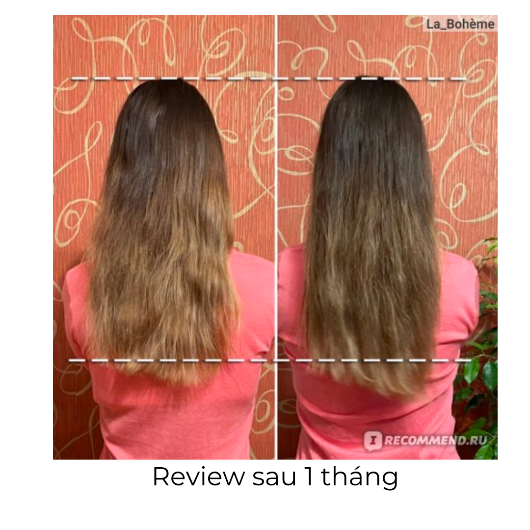 Ủ tóc giúp mọc tóc giảm rụng HOT THERAPY Compliment 500ML