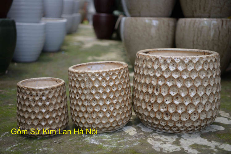 orchid flower pots