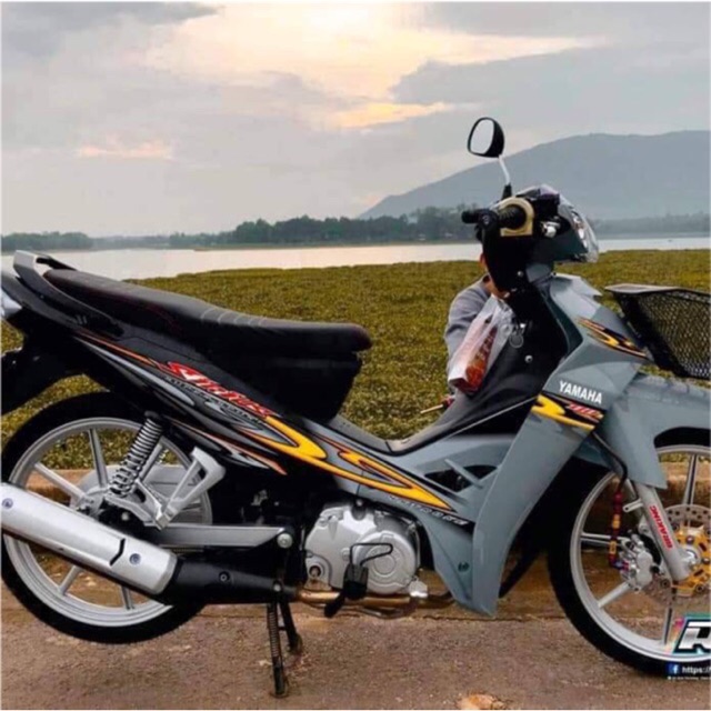Tem rời Sirius thường xám xi măng bụng đen