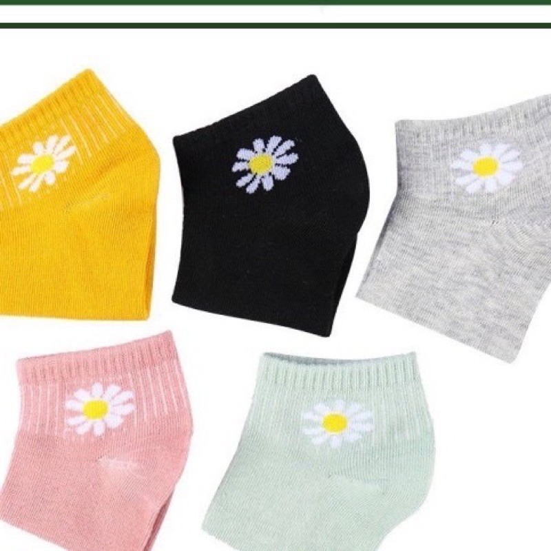 Tất hoa cúc Vớ hoa cúc họa tiết hot trend xinh cực- set 10 đôi