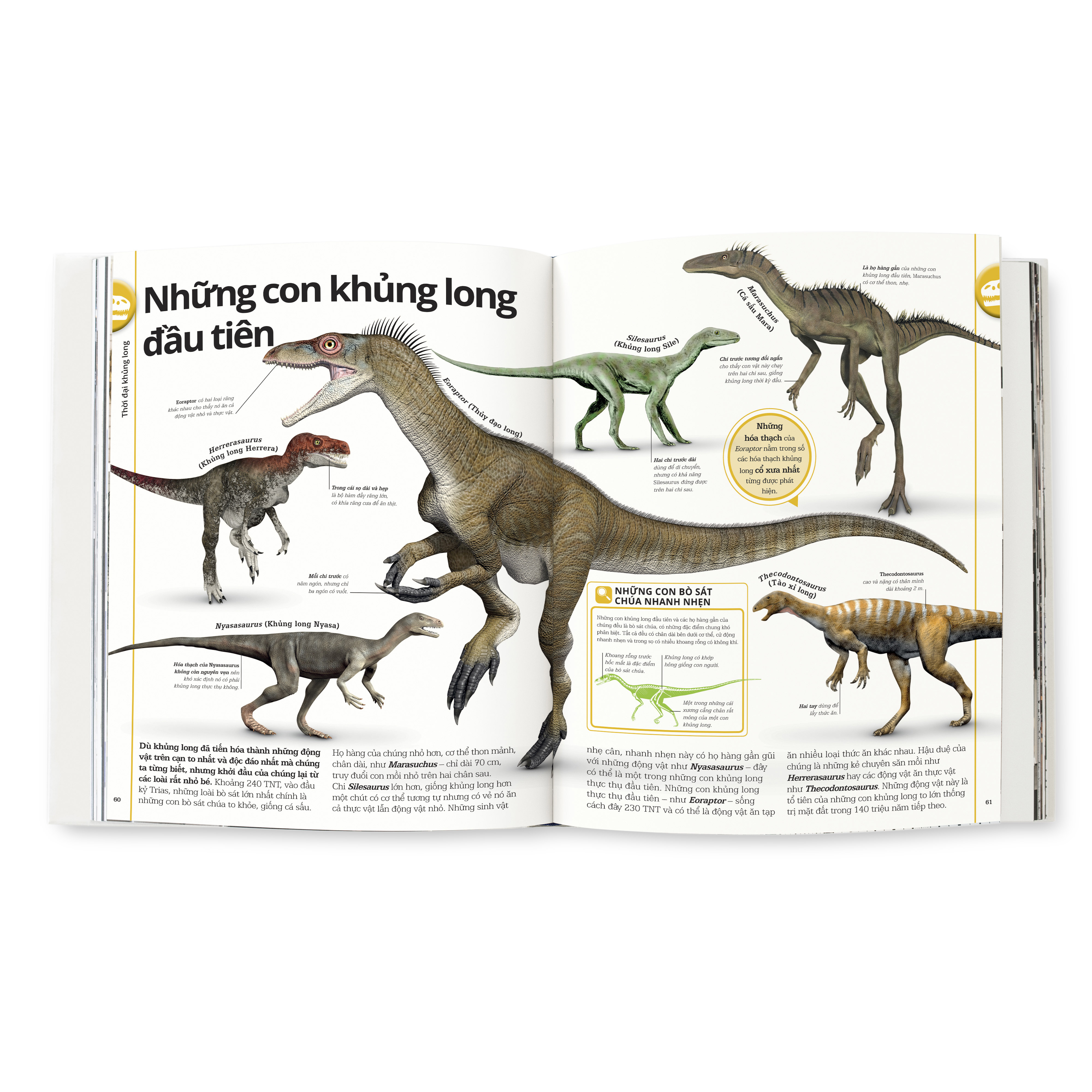 Cá Chép - Khủng Long