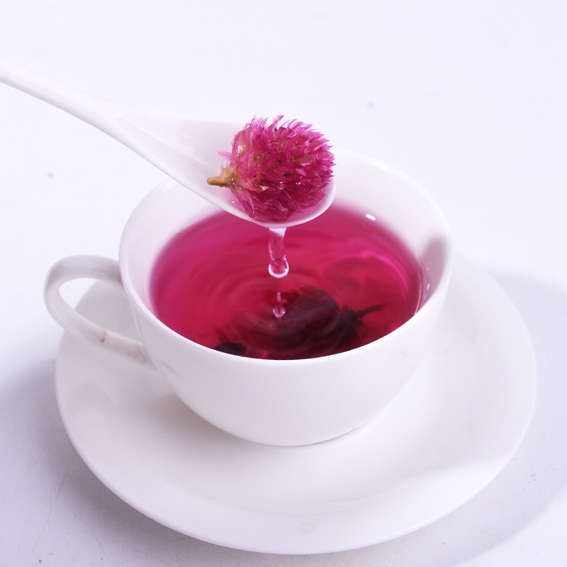 Trà Hoa Cúc ( Cúc Bách Nhật tím ) màu đẹp loại 1