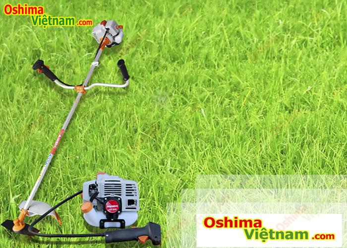 Máy Cắt Cỏ Aosheng AS260, máy cắt cỏ giá rẻ