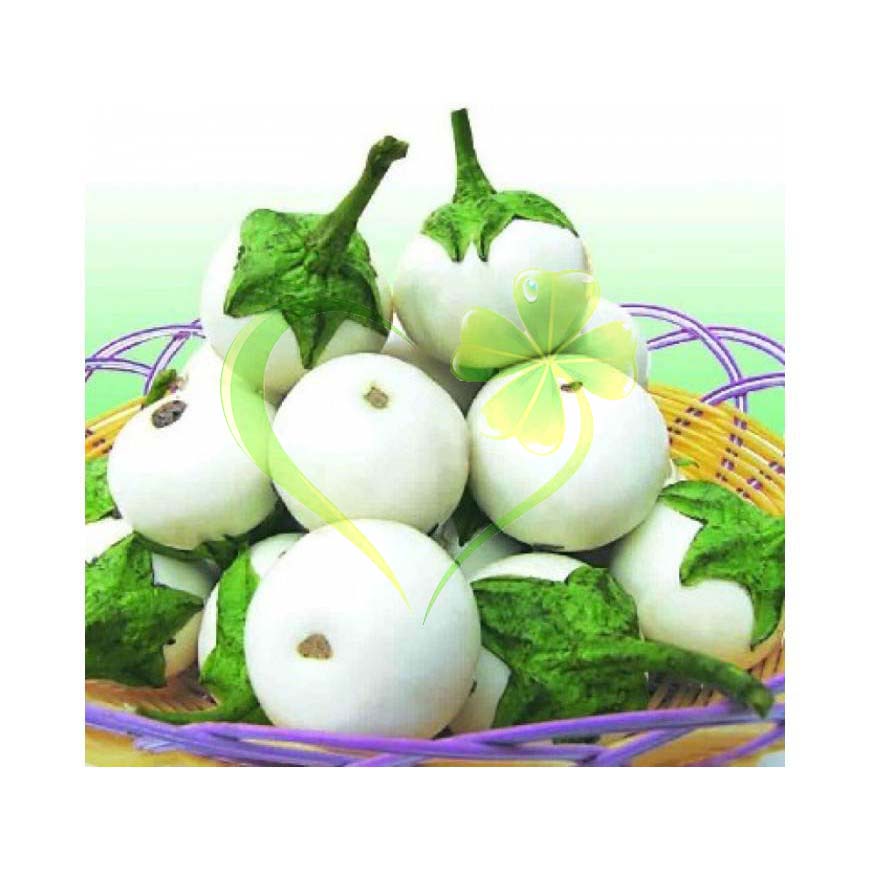 Hạt giống cà pháo trắng trái lớn - Gói 1g