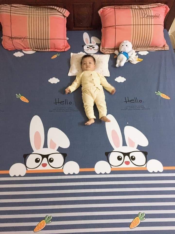 Ga Chống Thấm Cotton Goodmama (ko vỏ gối)