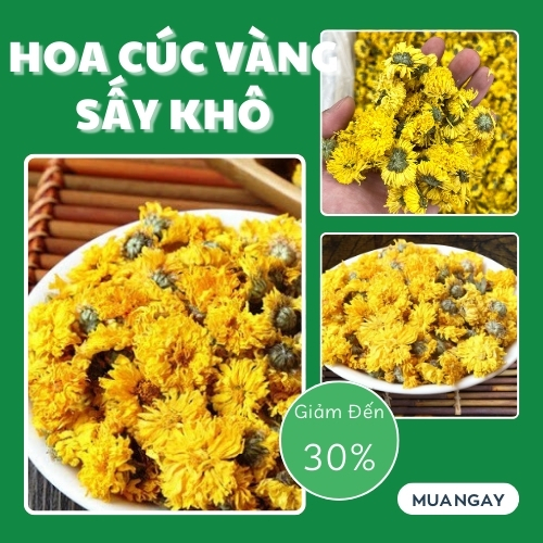 Hoa Cúc Vàng 100g Hảo Hạng - Thảo Dược Tấn Phát