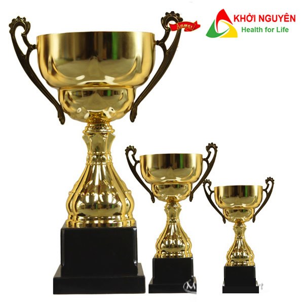 Cúp thể thao kim loại m-2035 giá rẻ + free in tem logo giải đấu