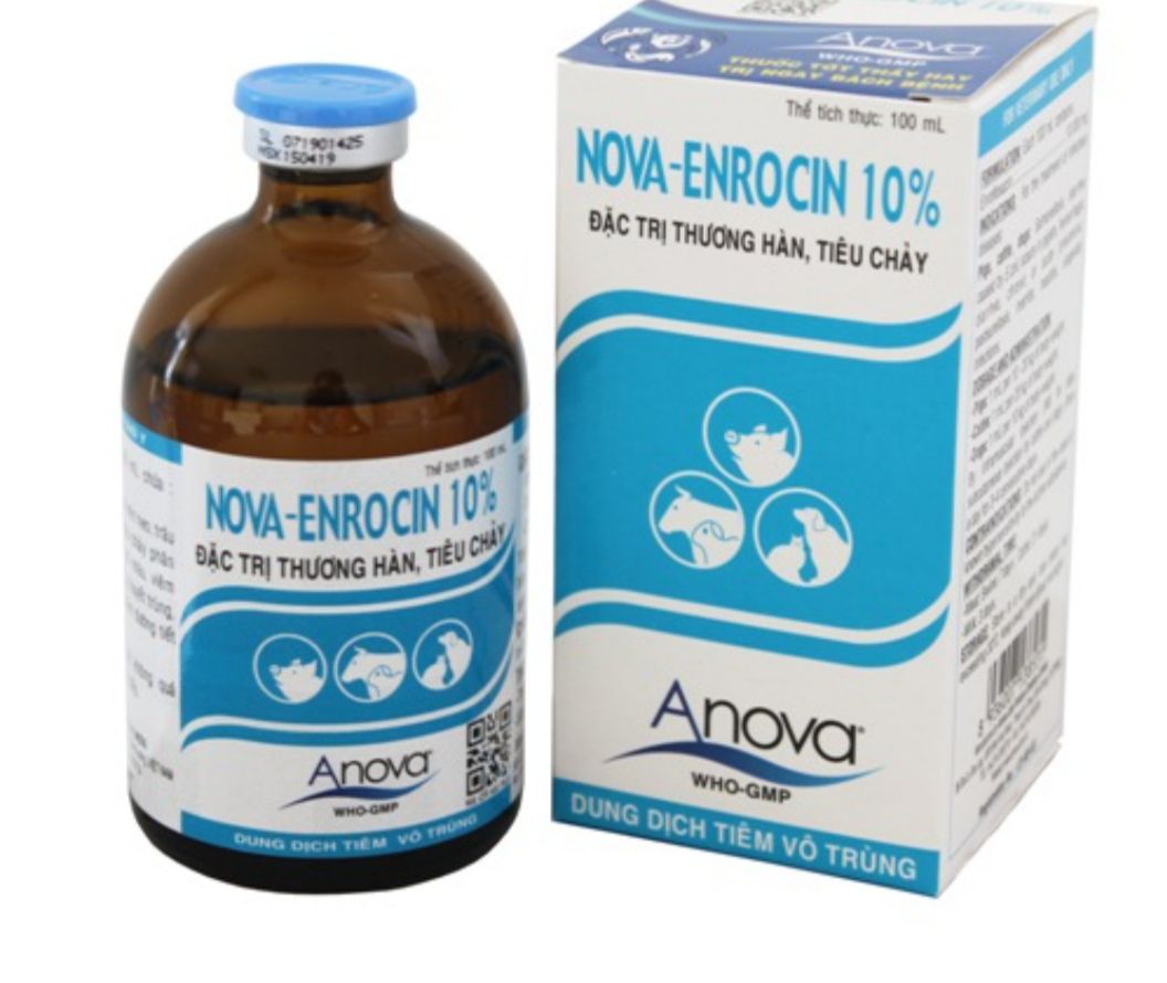 Nova Enrocin 10% 100ml thương hàn, tiêu chảy