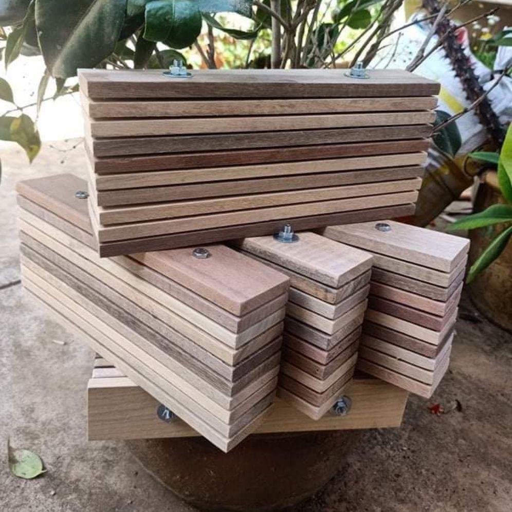 combo 5 - tệp thanh gỗ cho ruồi lính đen đẻ trứng