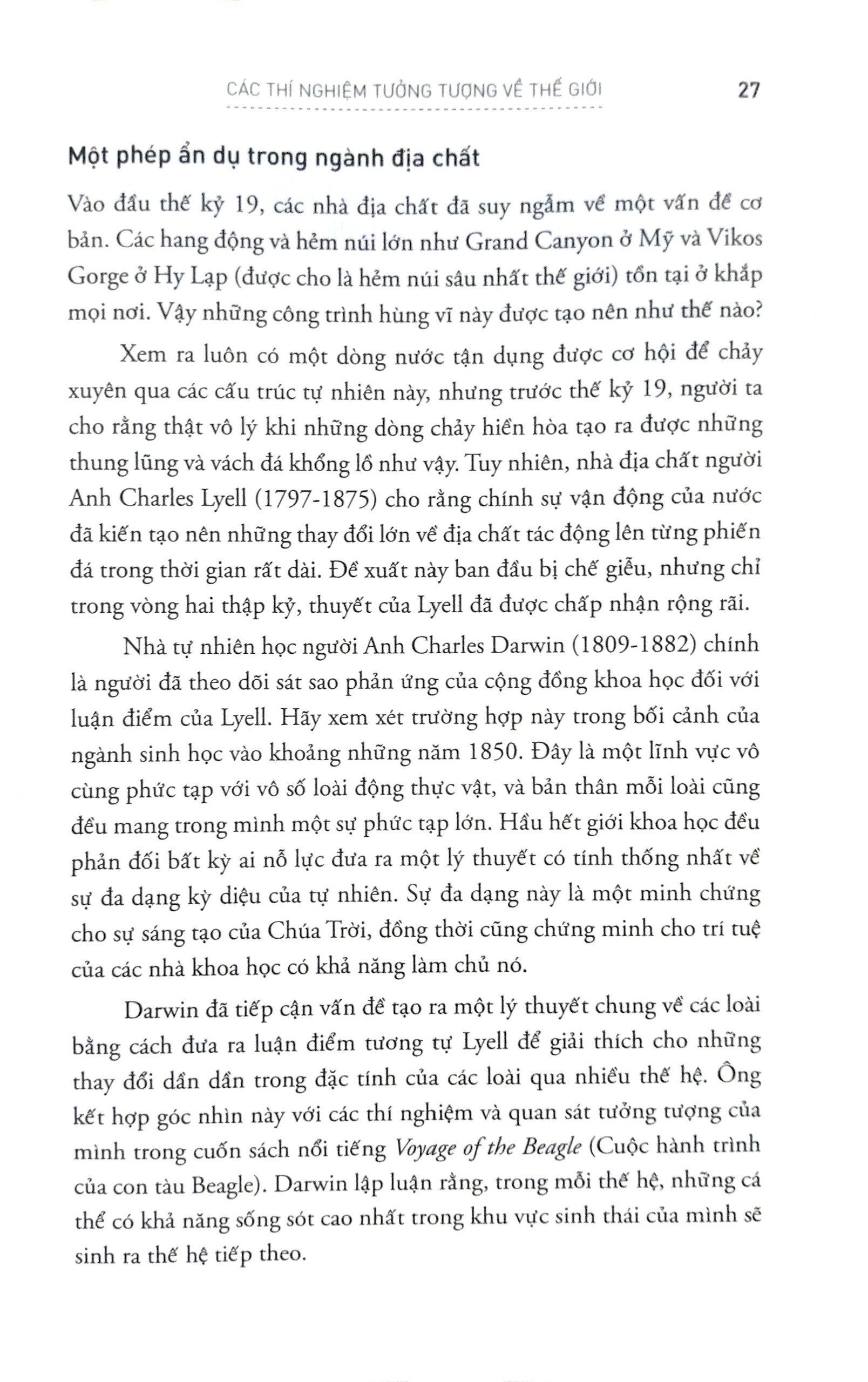 Sách Mới Alphabooks - Bản Thiết Kế Trí Tuệ
