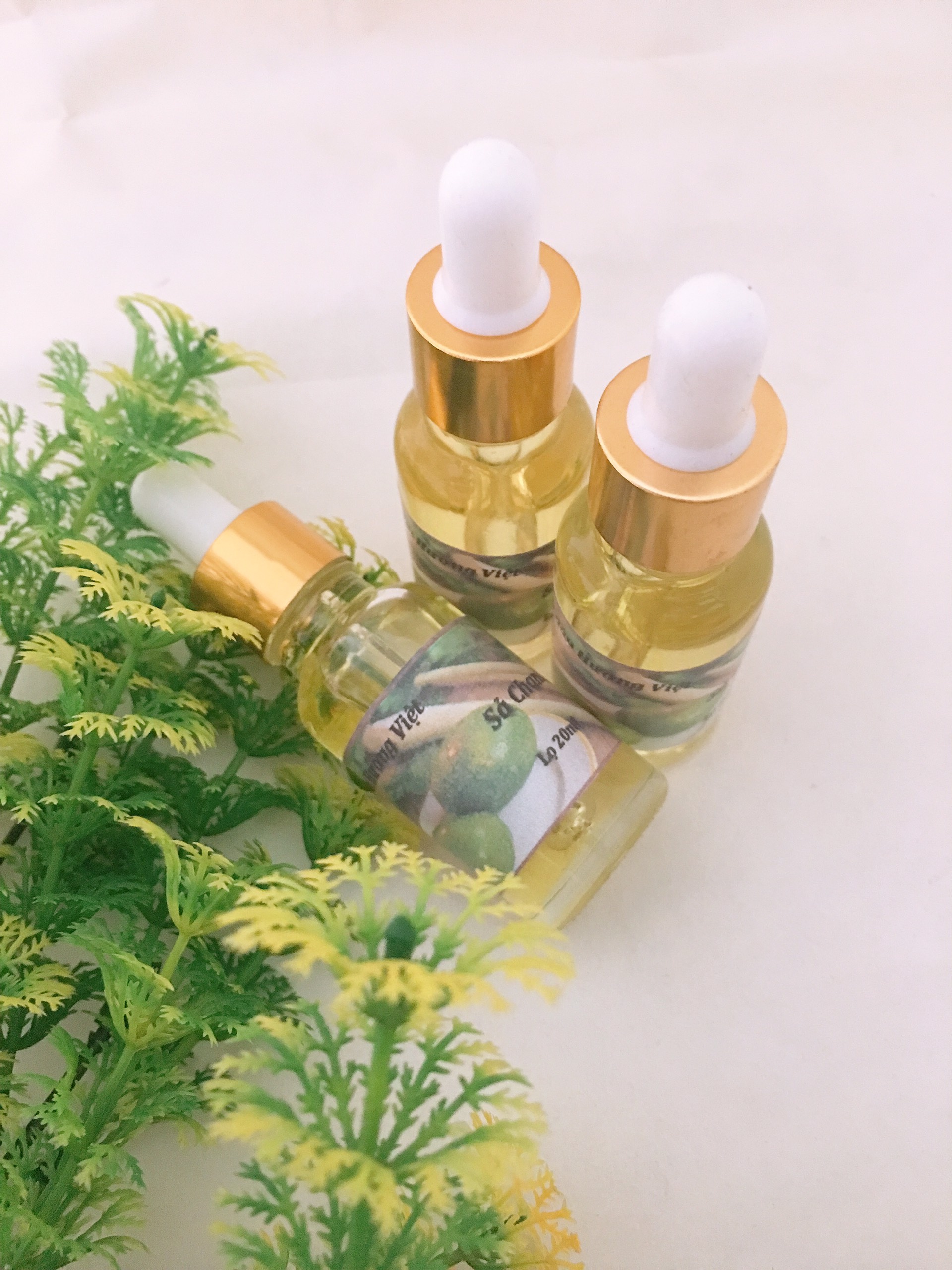 Tinh dầu Sả Chanh nguyên chất lọ 10ml