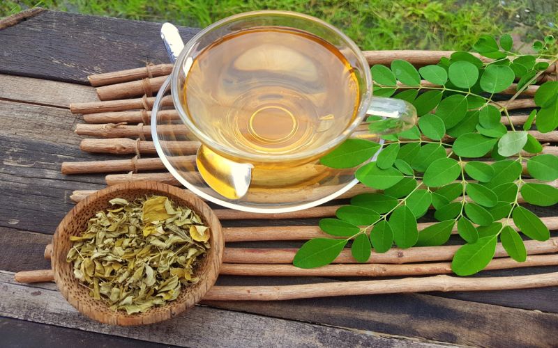 Hạt giống cây Chùm ngây (gói 50 hạt)