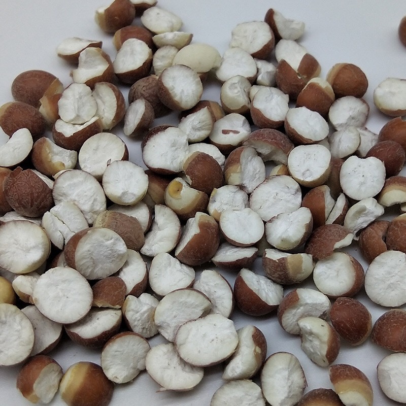Hạt khiếm thực to ,sạch 200g ( giảm cân, giảm đường  huyết)