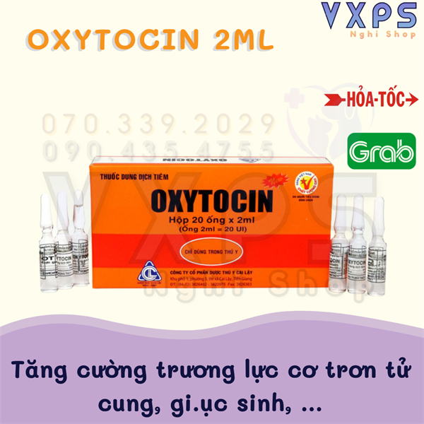 [GIẢM ĐẾN 20% Ở XU] Dung Dịch Oxytocin Kích Chó Mèo Đẻ - Ống 2ml