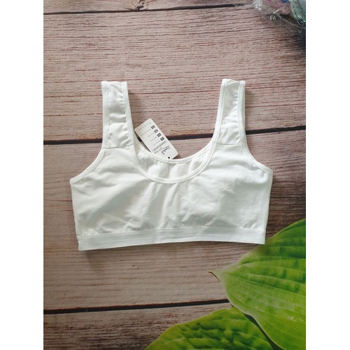ÁO LÁ HỌC SINH CẤP 1,2 CHẤT LIỆU COTTON THUN GIÃN