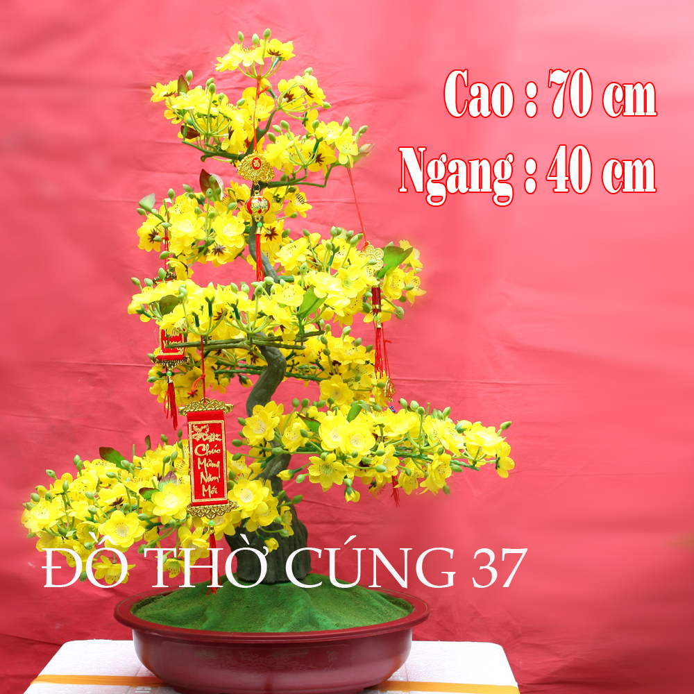 CHẬU MAI GIẢ KIỂU BONSAI