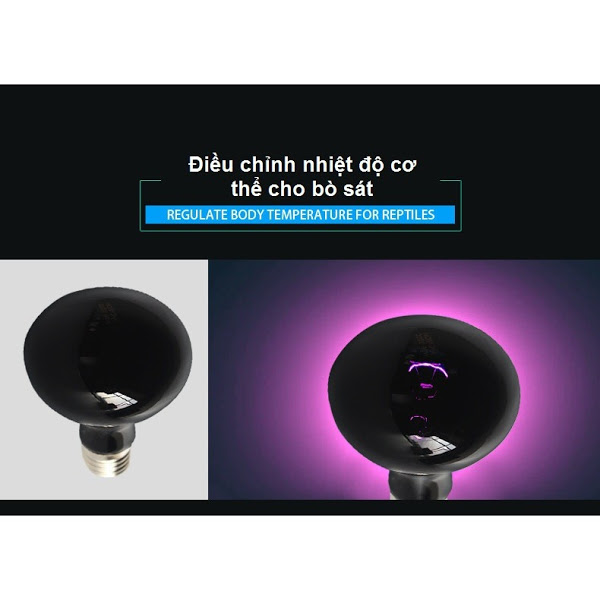 Đèn UVA sưởi đêm cho bò sát thương hiệu nomoy