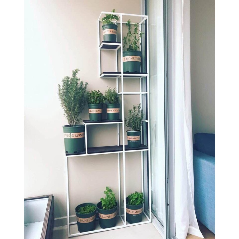 CHẬU NHỰA TRỒNG CÂY MONROVIA ĐỦ SIZE