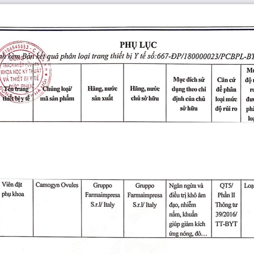 Viên đặt phụ khoa Camogyn hộp 10 viên
