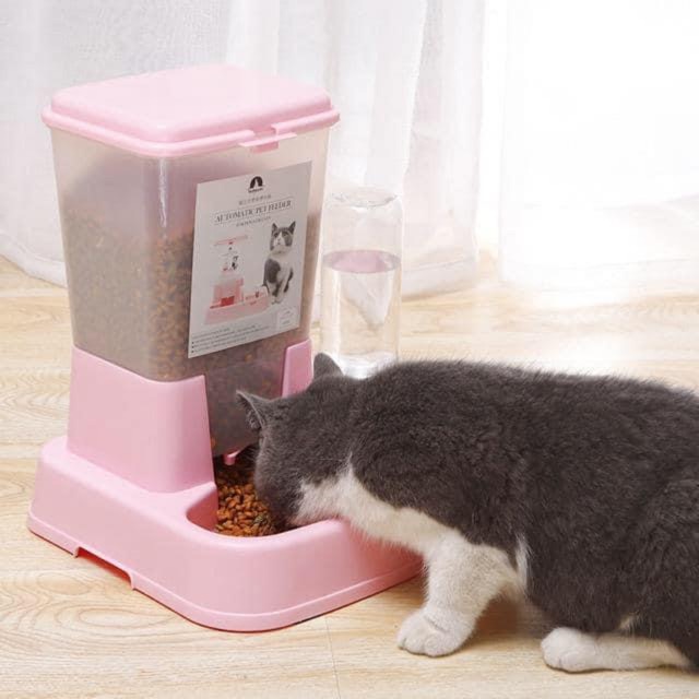 Bộ Bình nước + Bát ăn tự động