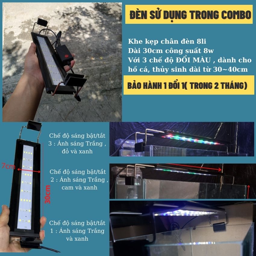 Bể cá mini 40cm COMBO đầy đủ có đèn led siêu dễ thương 3 chế độ sáng