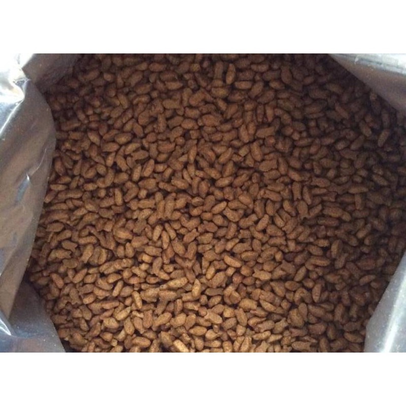 Thức Ăn Cho Mèo Hạt Cateye - Catrang Túi Chiết 1Kg
