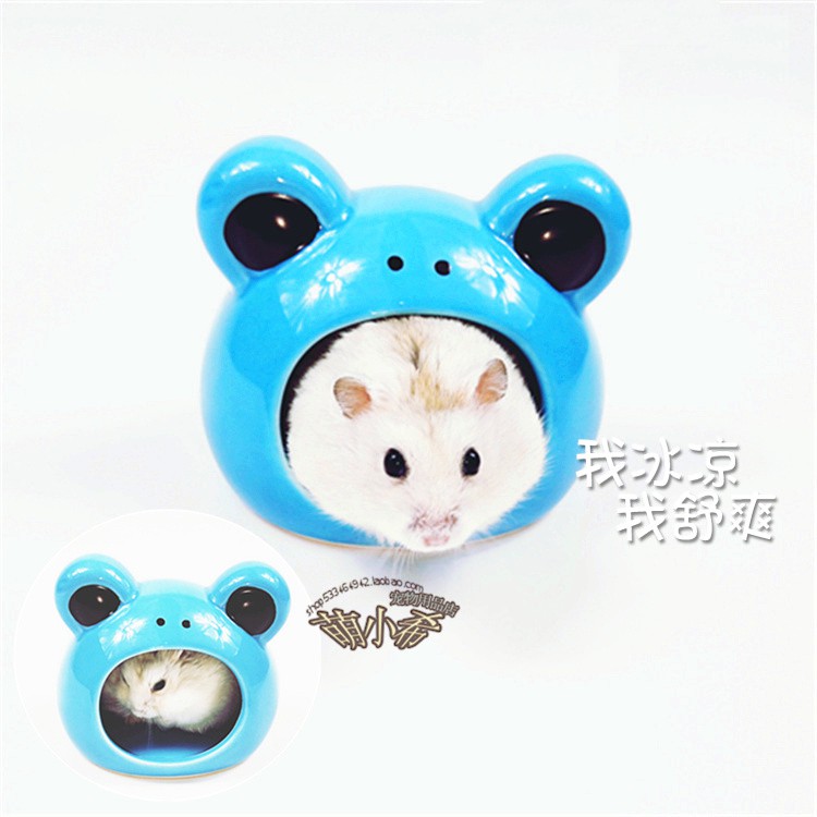 [Hoàn tiền 10%]Nhà ngủ sứ ếch hãng Zoog cho Hamster