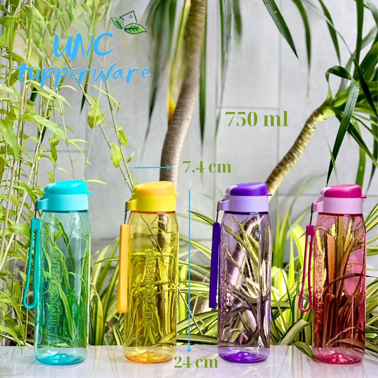 Bình nước Tupperware Lohas Flask 750ml