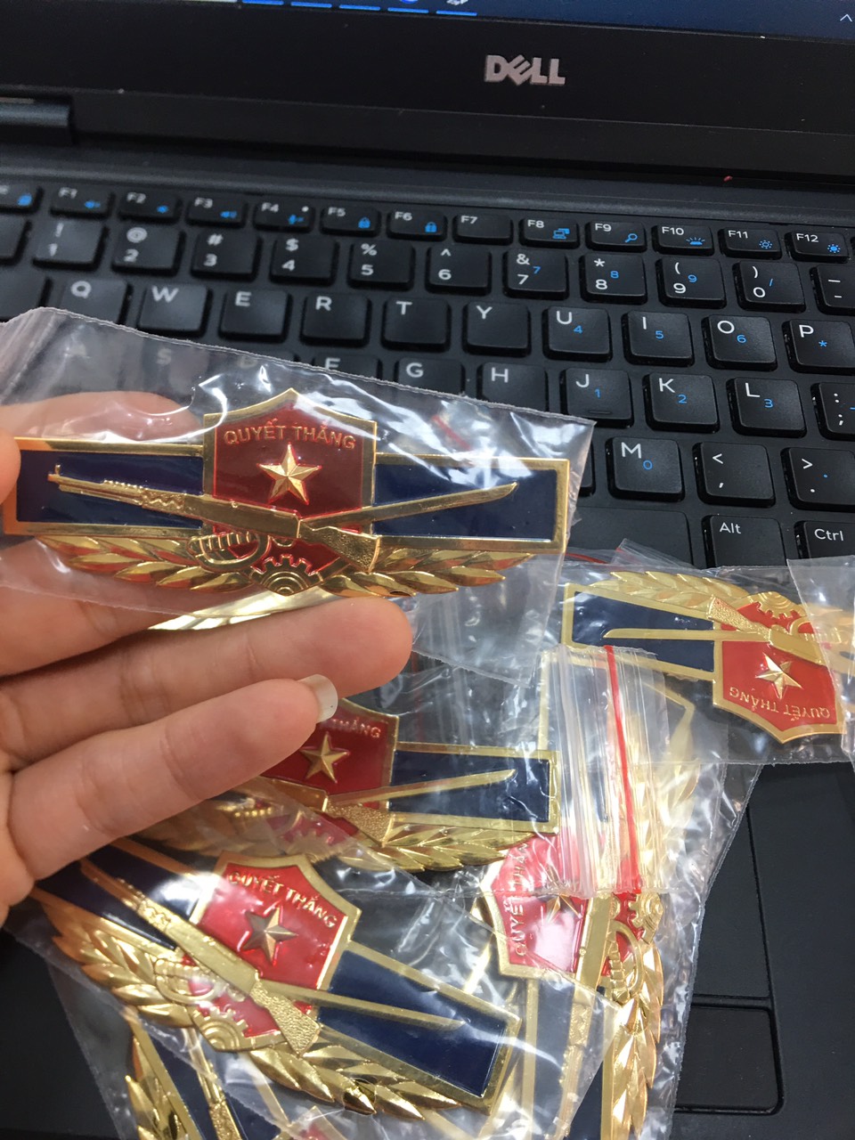 Huy hiệu, phù hiệu cài áo LQ