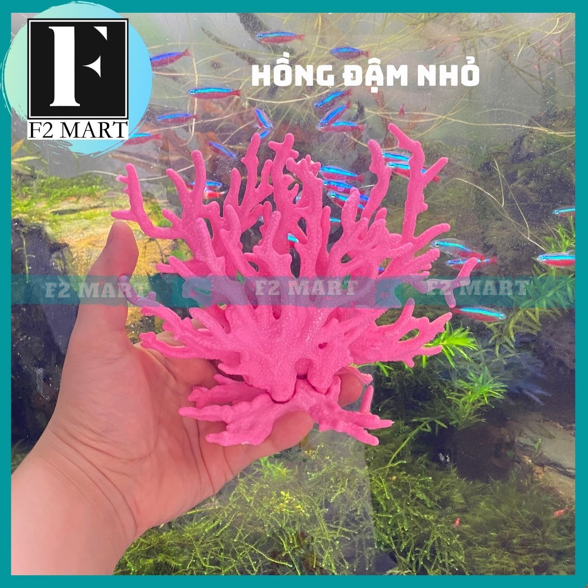 San hô trang trí bể cá cảnh, hồ cá cảnh siêu đẹp
