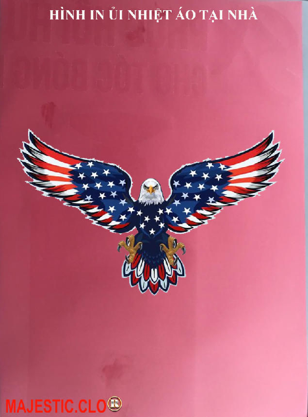 eagle american