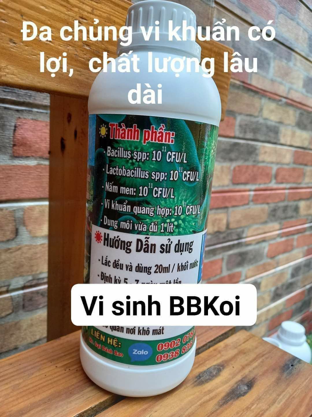[HCM]VI SINH HỒ CÁ BB KOI