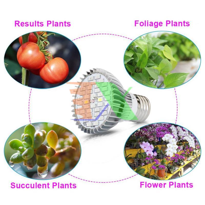 Led grow lights (30W, E27)