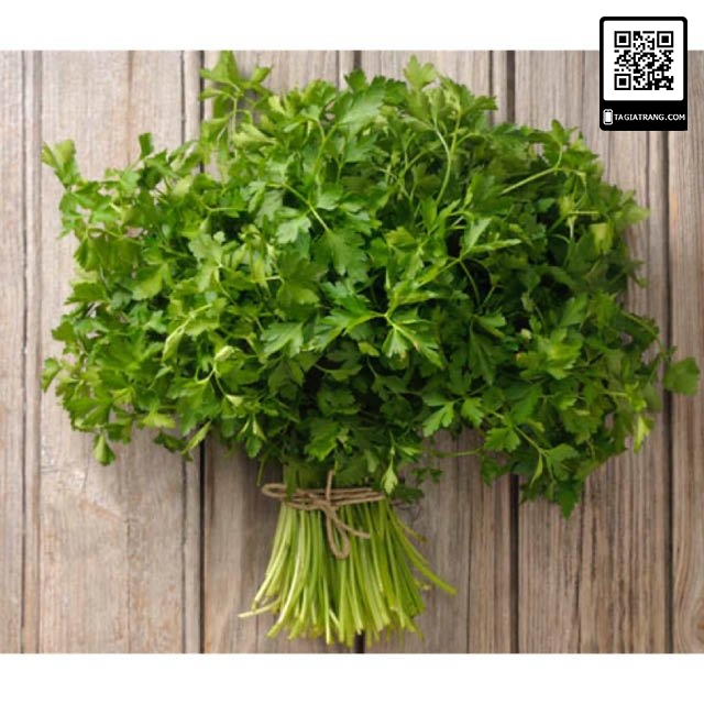 Hạt giống mùi tây parsley (ngò tây)