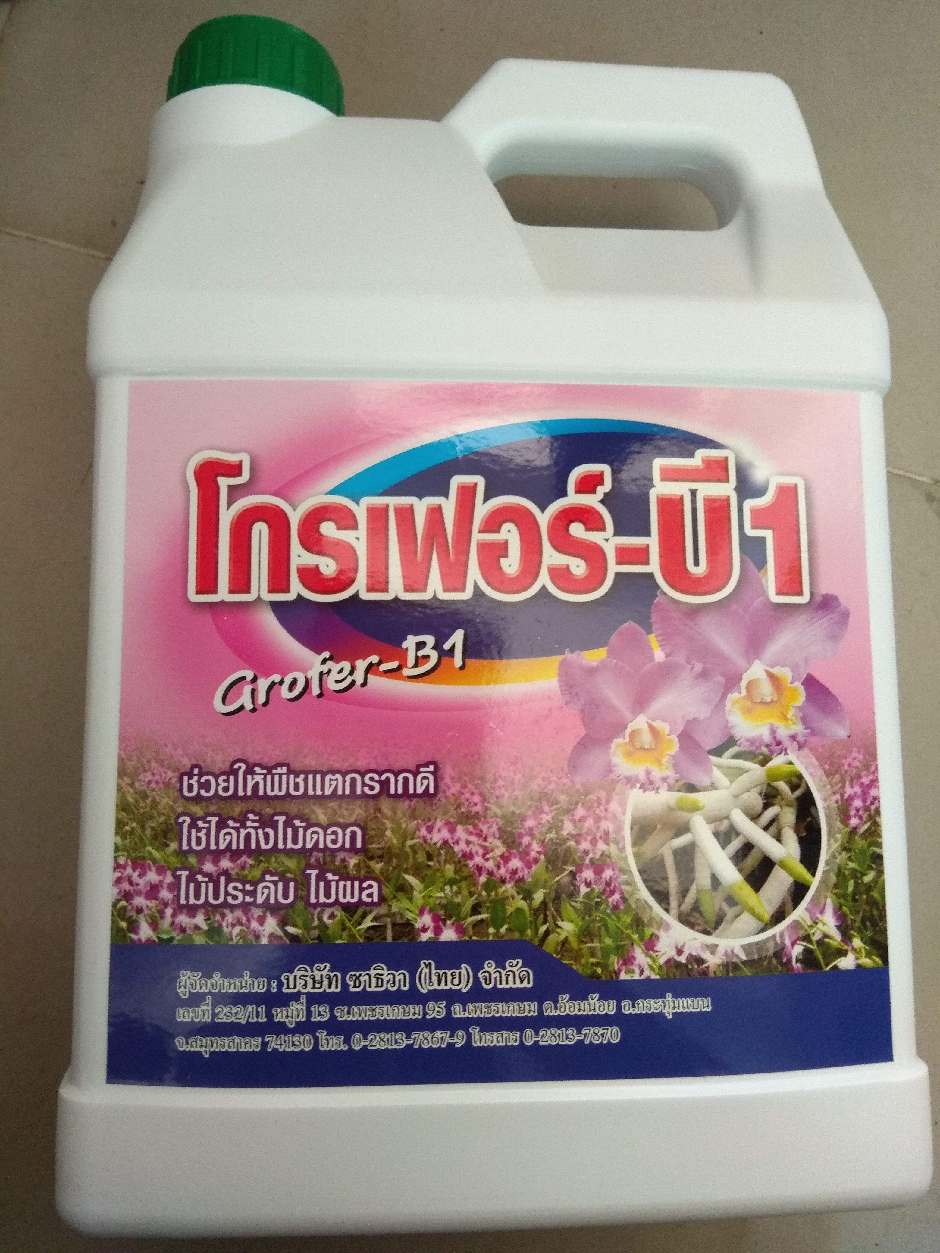 [HCM]Phân bón lá Vitamin B1 Grofer nhập khẩu Thái lan - can 5 lit