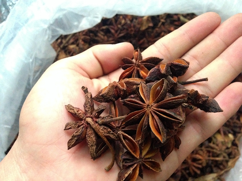 Đại hồi khô/tai vị - 100g