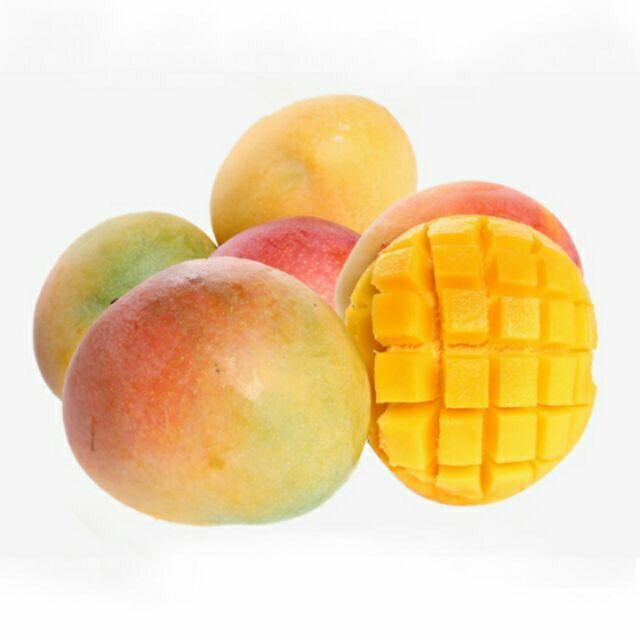 Cây xoài úc
